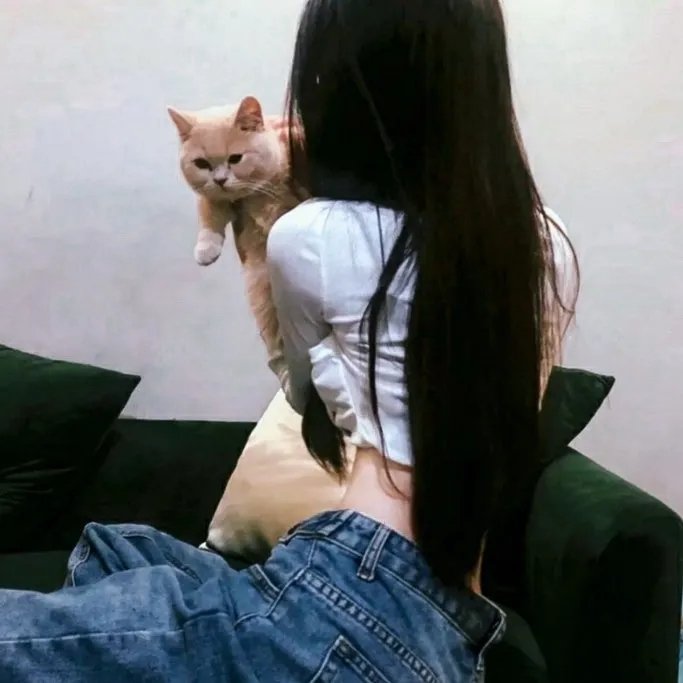 我叫弗兰克